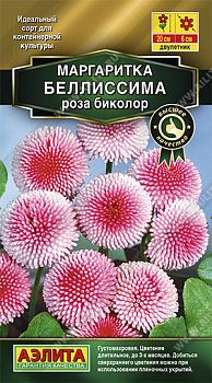 Цветы Маргаритка Беллиссима роза биколор ц/п Аэлита *28 по 10 шт